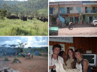 Figure 5 - Kenya Memories: Buffalo on Site! (Top Left). Visiting Nanyuki (Top Right). The Camp (Bottom Left). Sweetwaters Nature Reserve, and some of the 'gang' hold a Rhino skull. (Image Copyright - Khadija McBain: Top Left & Right/Jacqui Mellows: Bottom Left & Right)