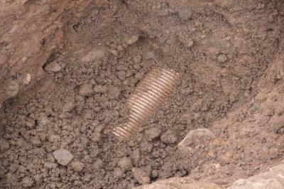 Figure 1 - Is it a bird? Is it a plane? No, its plastic field drain! (Photo credit: Author)