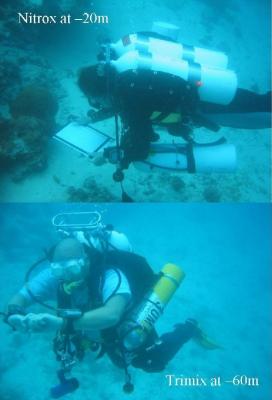 Figure 2 - Divers looking for archaeological deposits (Image Copyright - Geoff Bailey)