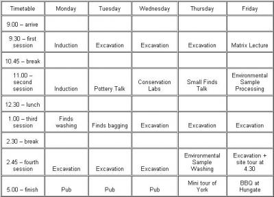 Figure 1 - Typical trainee timetable. (Image Copyright - Sarah Drewell)