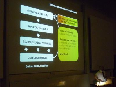 Figure 4 - Prof. Christopher Knüsel presenting his and Dr. Sébastien Villotte's paper on direct osteological evidence for gender division of labour in the LBK (Image Copyright: D. Altoft; kind permission of S. Knüsel)