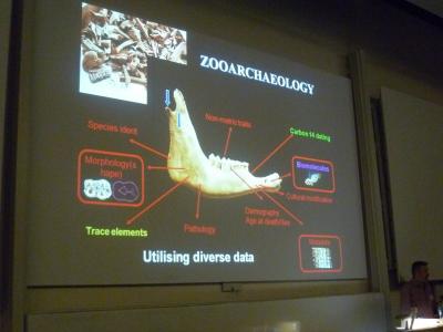 Figure 7 - Prof. Keith Dobney presenting his paper on the westward and eastward spread of domesticated pigs across Eurasia (Image Copyright: D. Altoft; kind permission of K. Dobney)