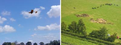 Aerial photography and view of the site (Image Copyright: Brian Elsey, both)