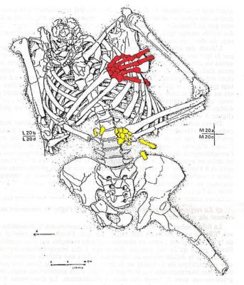 Figure 1: Neanderthal burial from Kebara. After Duday et al 1990:40 and reproduced by kind permission of Bulletin et Memoires de la Societe d'Anthropologie de Paris