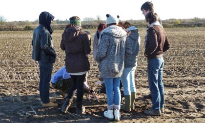 University of York students becoming familiar with artefacts (Image Copyright: Julian D. Richards)