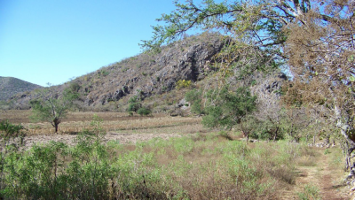 Figure 1: Photograph of Cerro Quiotepec and the Río Atentli Valley (Image Copyright: Arnaud F. Lambert)