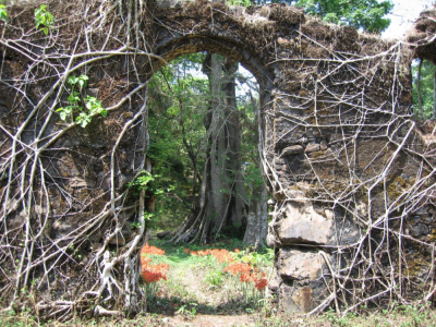 Figure 5: Part of the outer wall and Merchant Dormitory of Bunce Slave Fort (Image Copyright: Andrew Marriott)