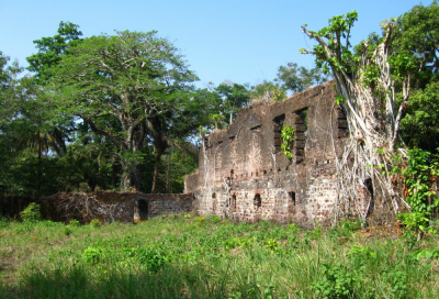 Figure 7: Ruins of The Great House of Bunce Slave Fort (Image Copyright: Andrew Marriott)