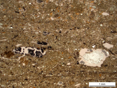 Figure 2: A layer of dust in a sequence of plaster floors at Kamiltepe (Image Copyright: Lisa-Marie Shillito)