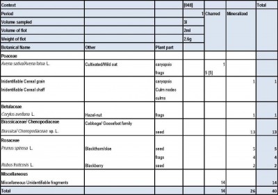 Figure 3: A typical table of archaeobotanical finds (Image Copyright: Nikolah Gilligan)