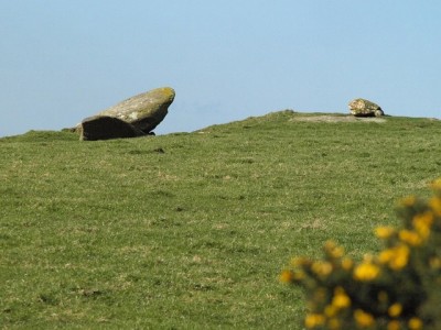 Hendraburnick ‘quoit’ (photo: Derek Harper)