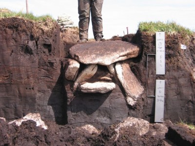 Figure 1: Photograph of the Whitehorse Hill cist in situ (Day of Archaeology 2015)