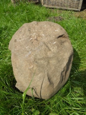 Figure 5. Proposed ‘anvil’ stone, showing the pitted and pock-marked upper face (image copyright by author).