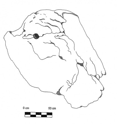 Plate 3: Profile view of CMS 1-A-9. Source: Lambert. A. F