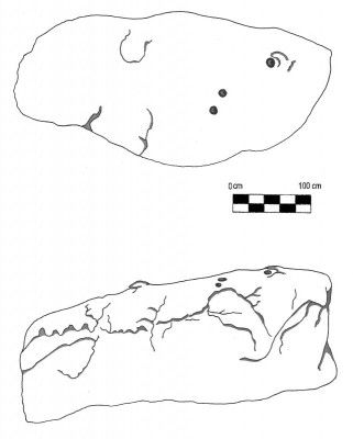 Plate 7: Profile (top) and Superior View (bottom) of CMS 1-B-1. Source: Lambert. A. F