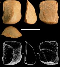 Figure 2: Example of a conchoidal flake produced by capuchin stone-on-stone percussion. Image: Proffitt et al. 2016, 2. 